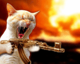 chasse aux souris